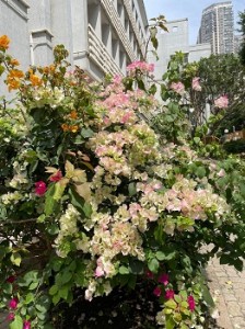 571207638_1465602952094628_7383711843025874569_n