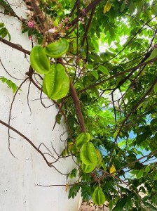 571331580_1465602938761296_2268154329832203400_n