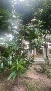 572301637_1465602842094639_177315746800716945_n