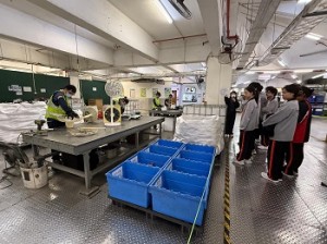 600218233_1510426030945653_2969105117551887841_n