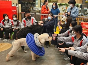 666963152_1607559571232298_3250331128173840211_n