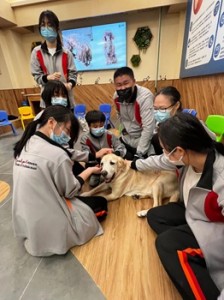 668242021_1607559747898947_3786315543219126906_n