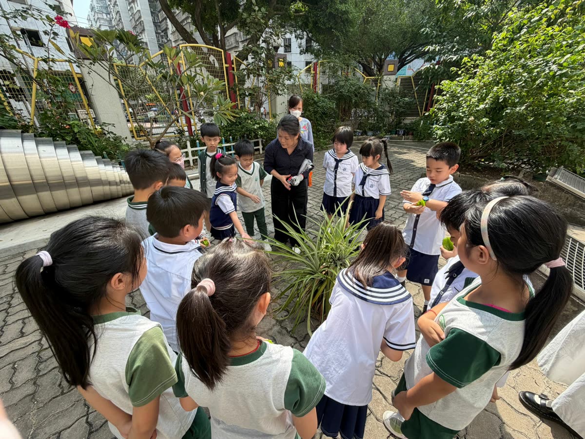 學生在校園花園進行導賞活動